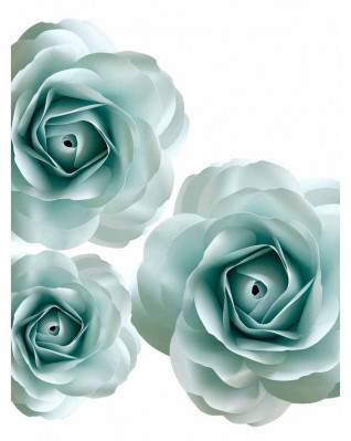 Plakát růže 30x40cm