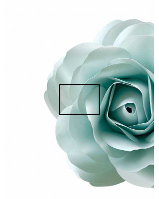 Plakát růže 30x40cm