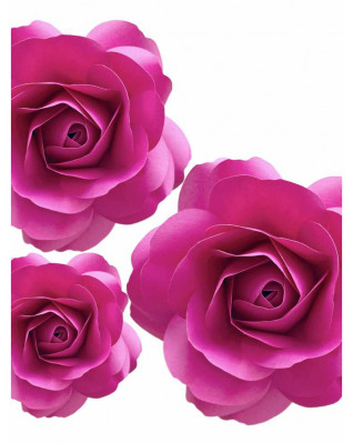 Plakát růže 30x40cm