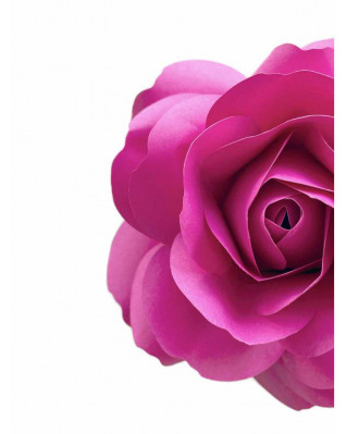 Plakát růže 30x40cm